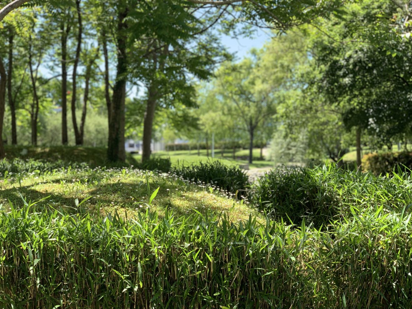 Une journée citoyenne pour l’environnement