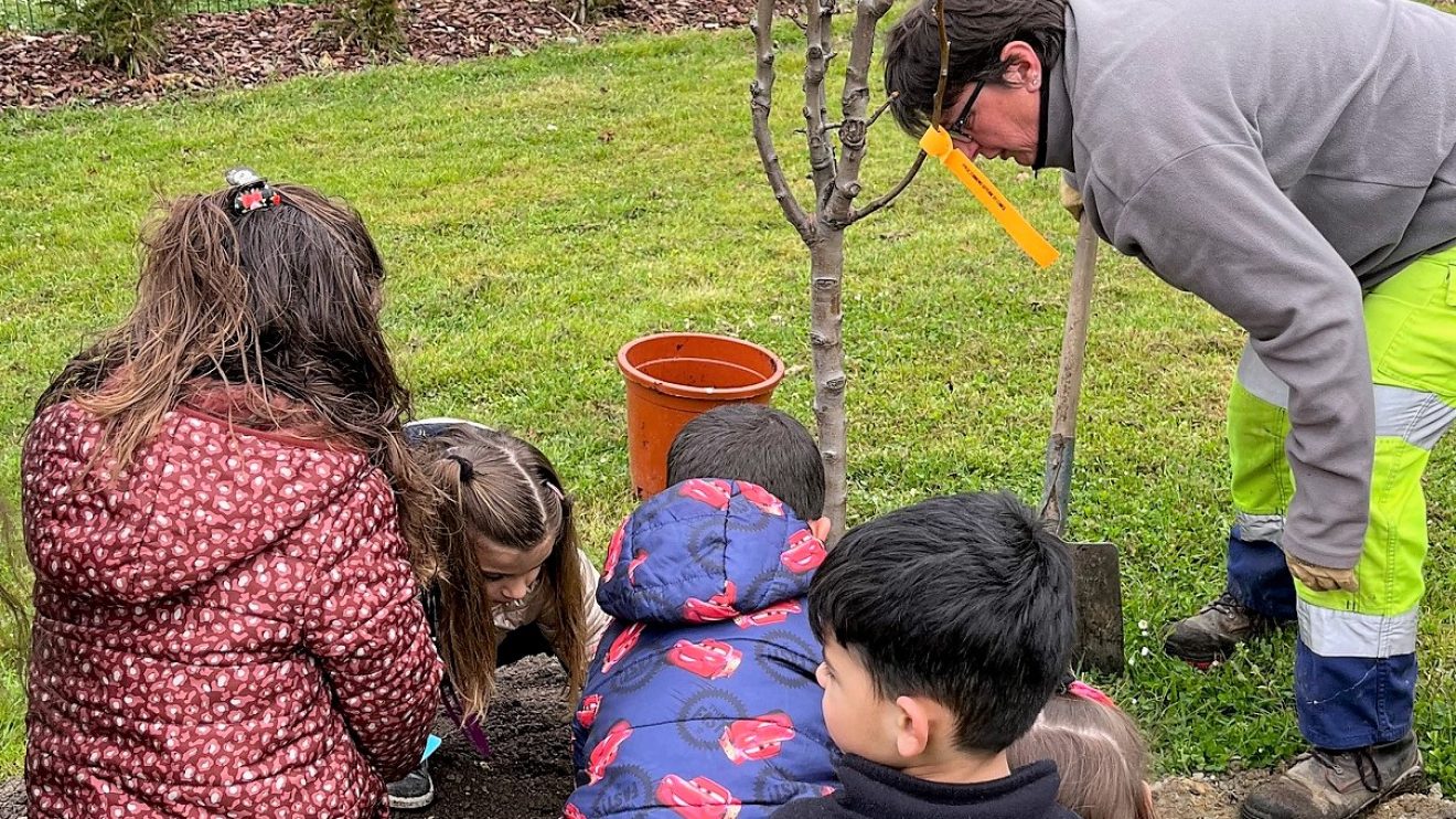 Un arbre, un enfant : planter pour sensibiliser à la nature