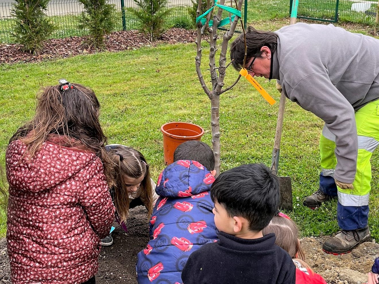 Un arbre, un enfant : planter pour sensibiliser à la nature