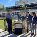 La place du Béarn rénovée : lieu de commerces, de services, de vie… et de respiration