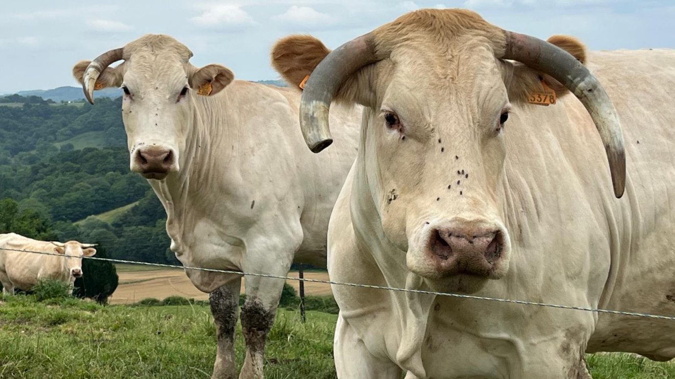 Pour une agriculture saine, durable et productive