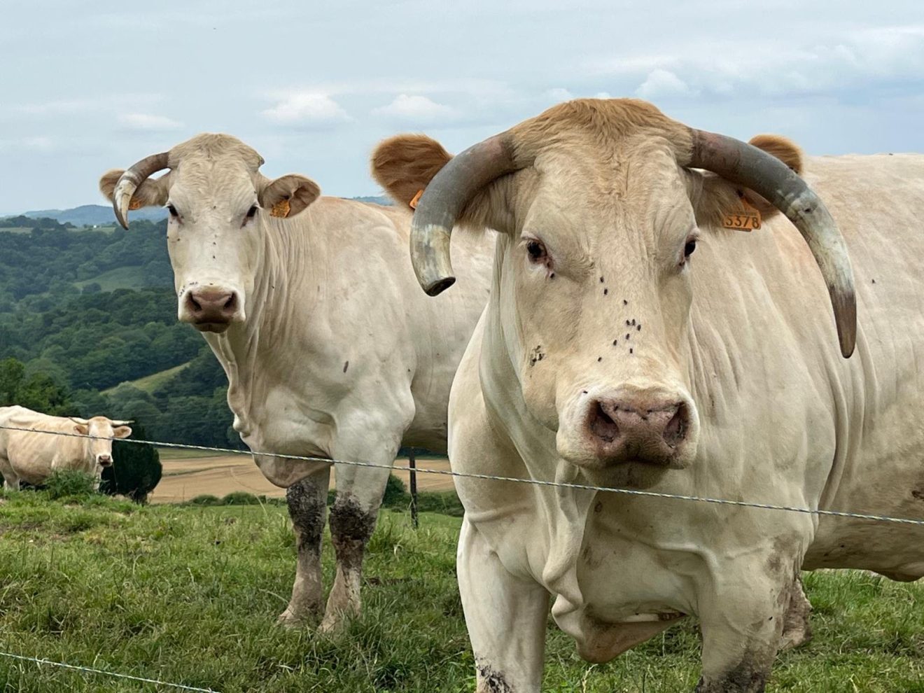 Pour une agriculture saine, durable et productive